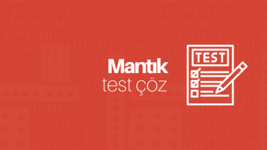 Mantık test