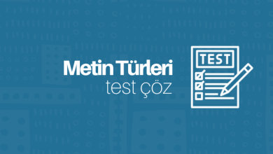 Metin Türleri Test