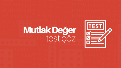 Mutlak Değer soruları