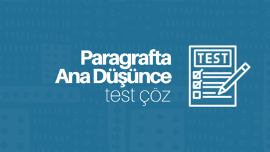 Paragrafta Ana Düşünce Test