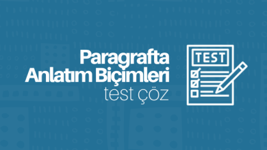 paragrafta anlatım biçimleri test