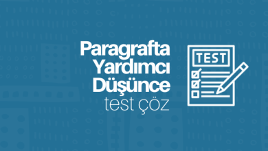 Paragrafta Yardımcı Düşünce test