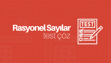 rasyonel sayılar test