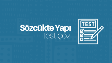 Sözcükte Yapı Test